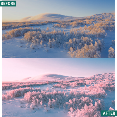 Winter Dawn LIMITED Capture One & LUT Presets Pack