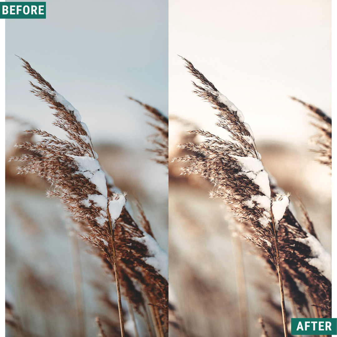 Rustic Winter LIMITED Capture One & LUT Presets Pack