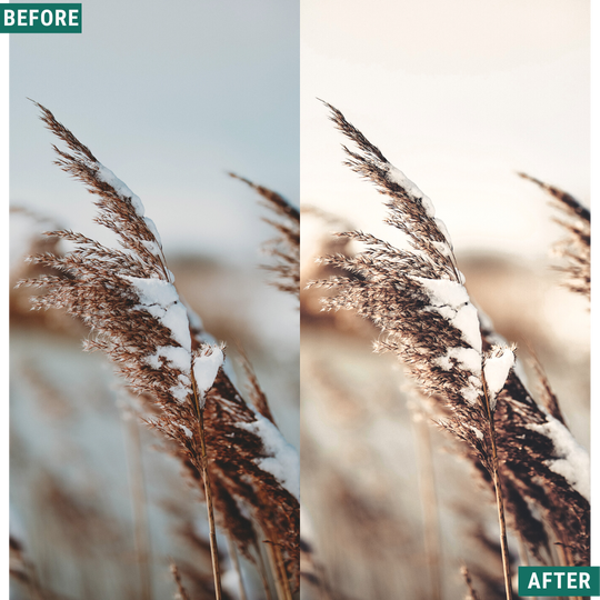 Rustic Winter LIMITED Capture One & LUT Presets Pack