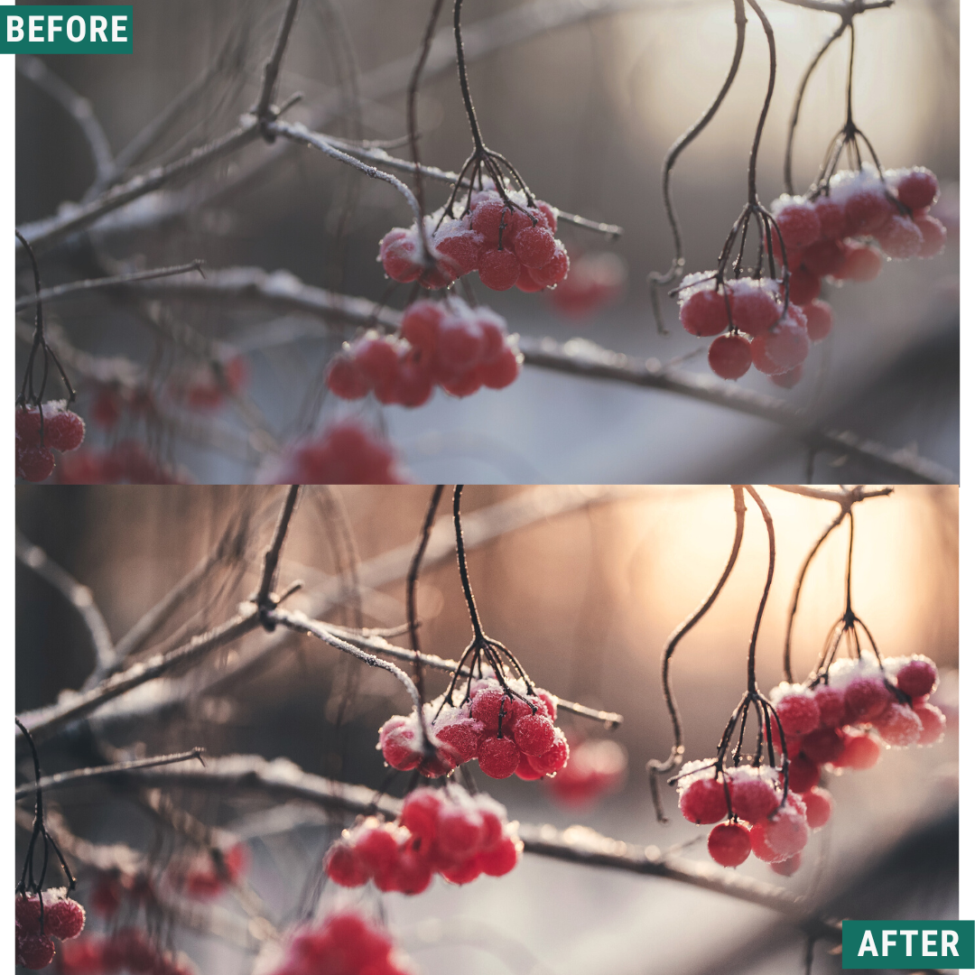 Rustic Winter LIMITED Capture One & LUT Presets Pack