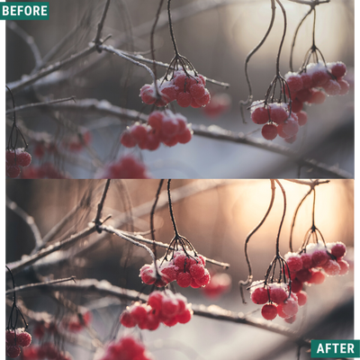Rustic Winter LIMITED Capture One & LUT Presets Pack
