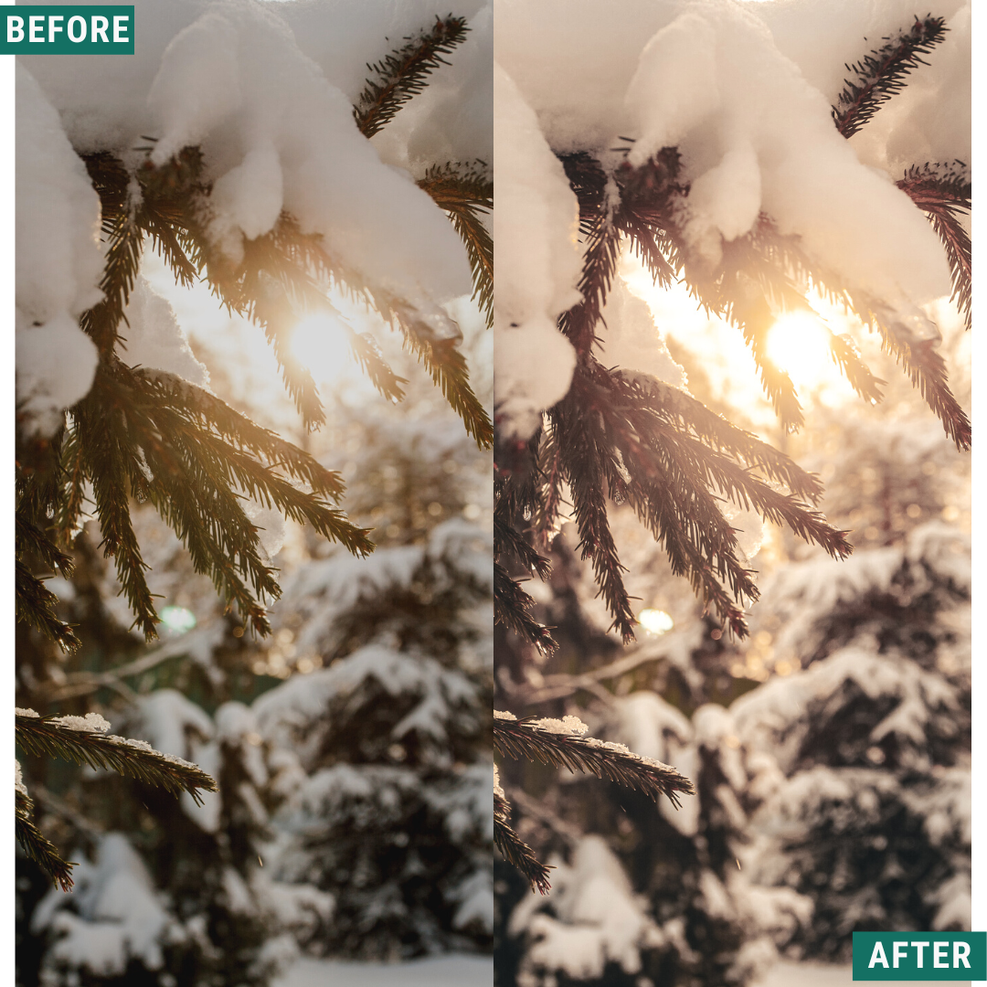 Rustic Winter LIMITED Capture One & LUT Presets Pack