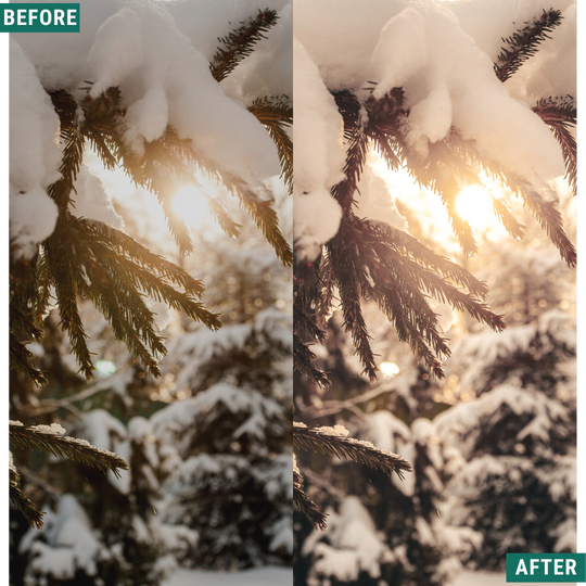 Rustic Winter LIMITED Capture One & LUT Presets Pack