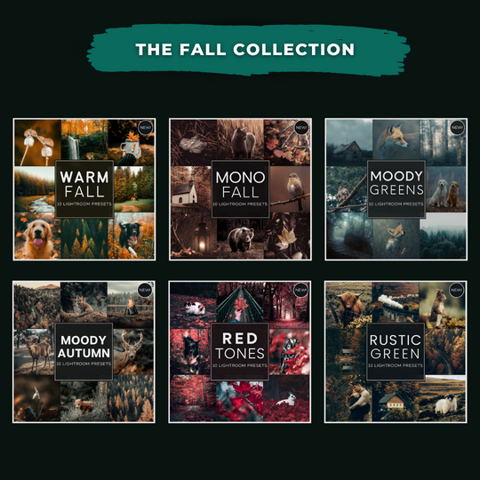 Mega Bundle 720 Lightroom Presets