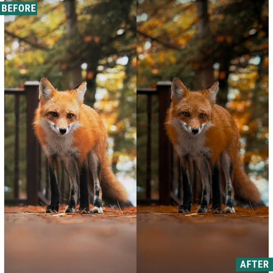 Rose Hour LIMITIERTES Lightroom-Presets-Paket