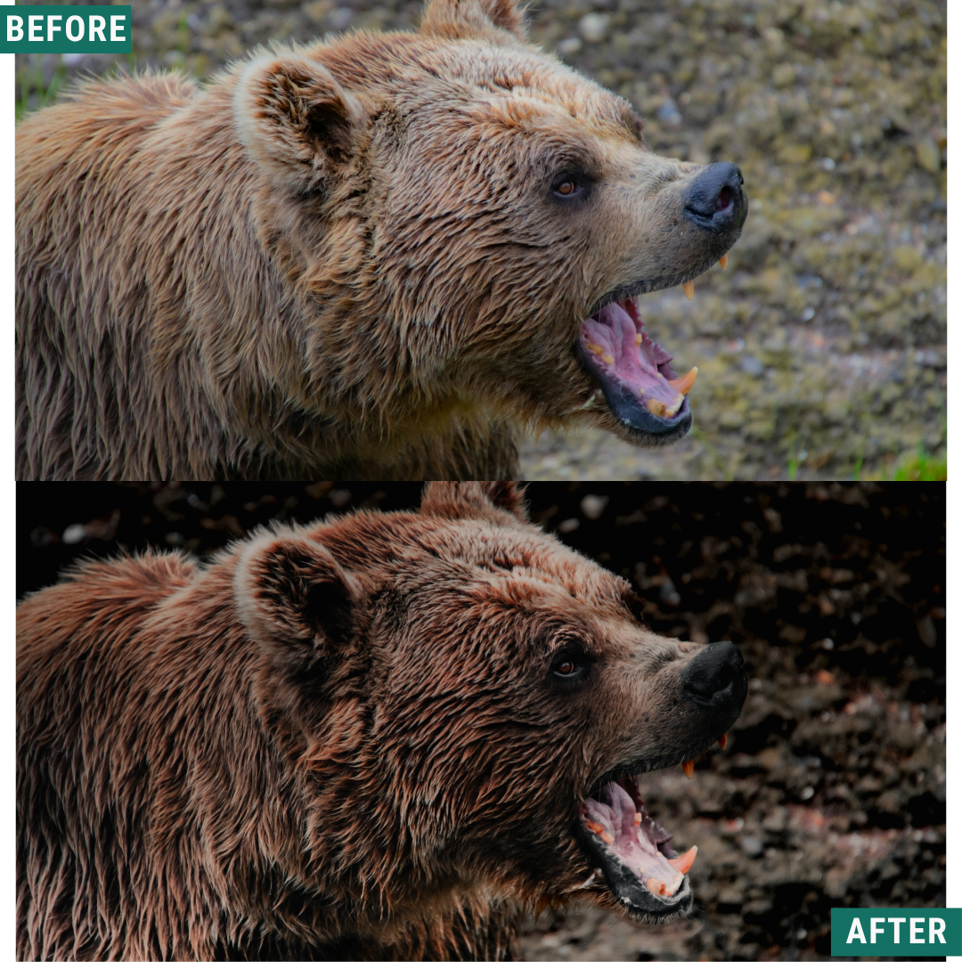 Muted Brown LIMITED Lightroom Presets Pack