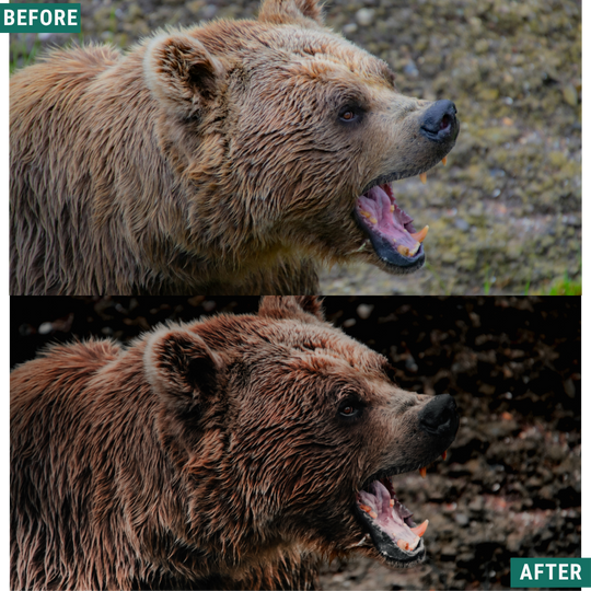 Muted Brown LIMITED Lightroom Presets Pack