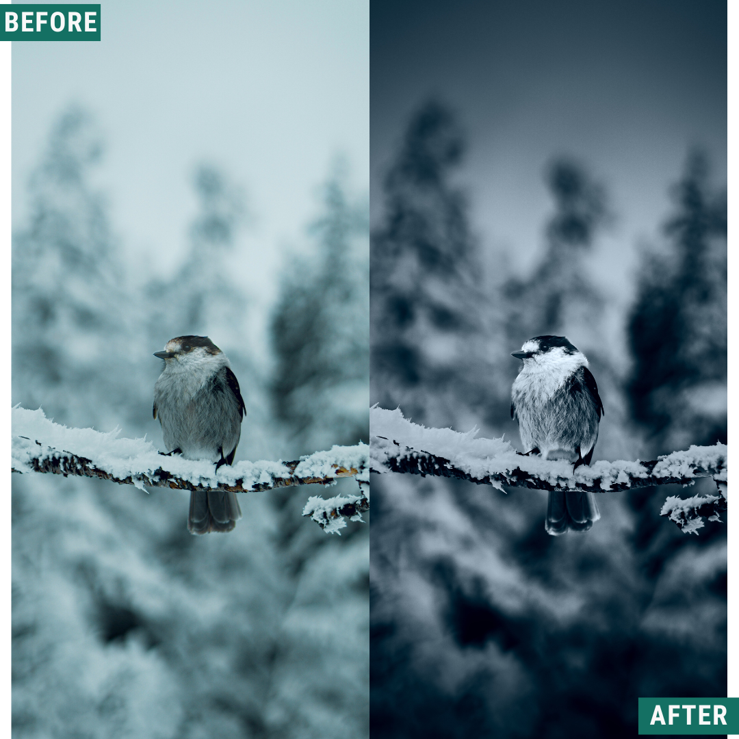 Deep Frost LIMITED Lightroom Presets Pack