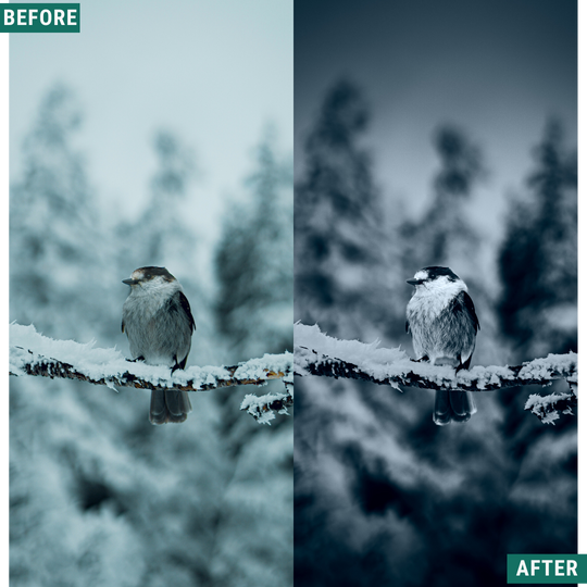 Deep Frost LIMITED Lightroom Presets Pack