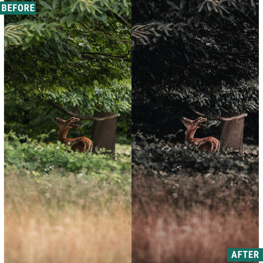 Muted Brown LIMITED Lightroom Presets Pack