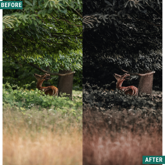 Muted Brown LIMITED Lightroom Presets Pack
