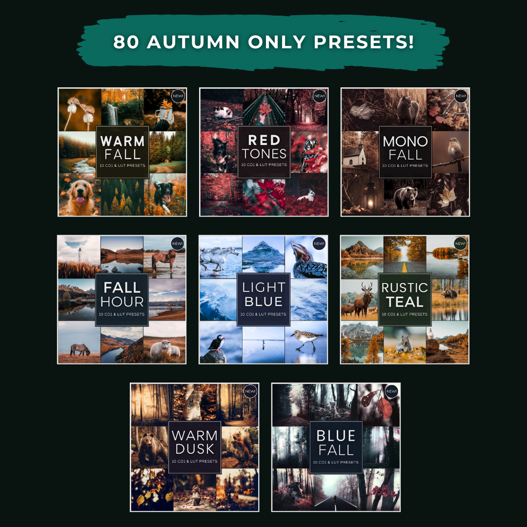 Master Collection Capture One & LUT Presets Bundle Autumn
