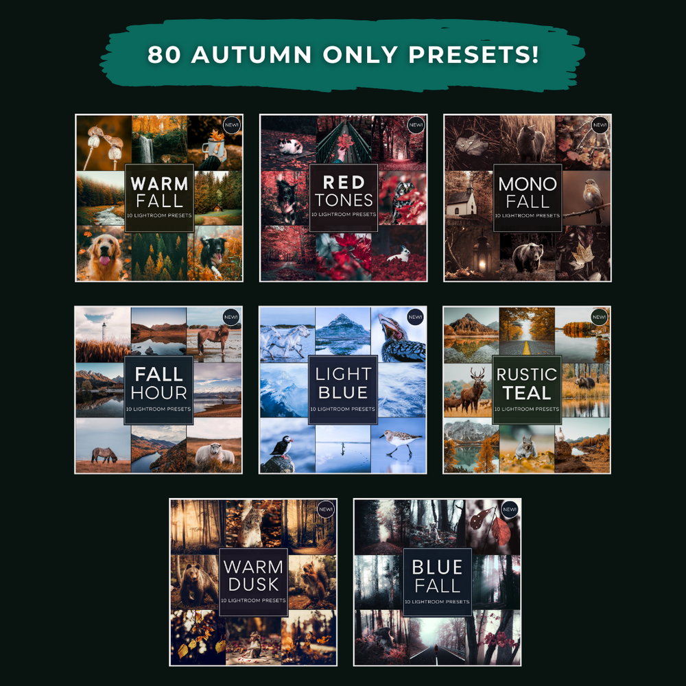 Mega Bundle 1528 Presets All-Access Toolbox