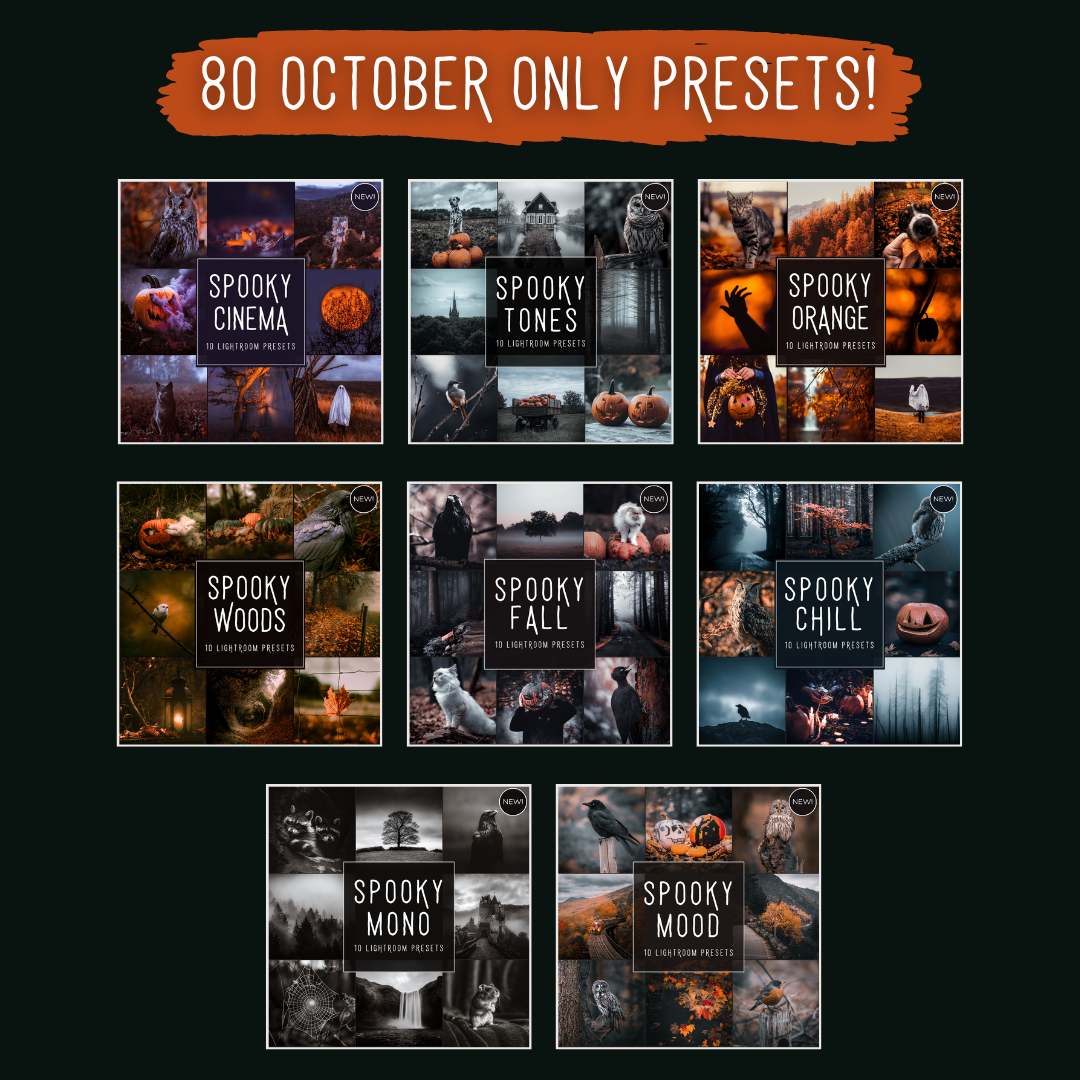 Woodland Bundle 150 Bestseller Lightroom-Presets