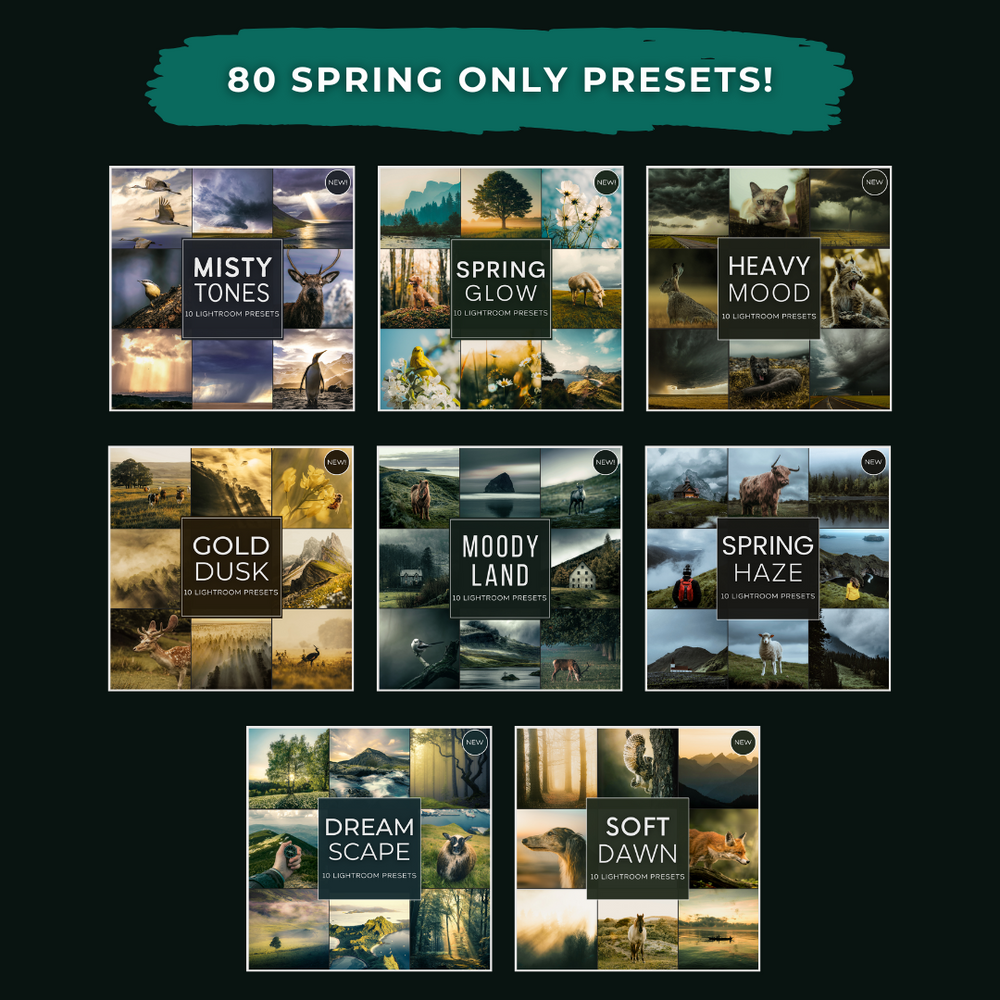 Master Collection Bundle 440 Lightroom Presets