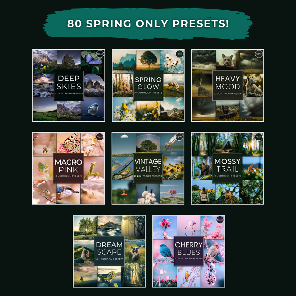 Mega Bundle All-Access Toolbox (210 Preset Packs)