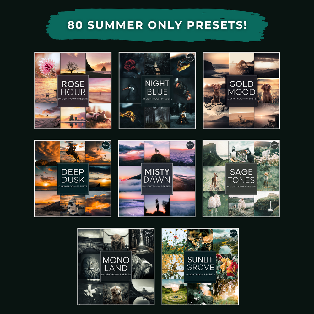Mega Bundle 660 Lightroom-Presets