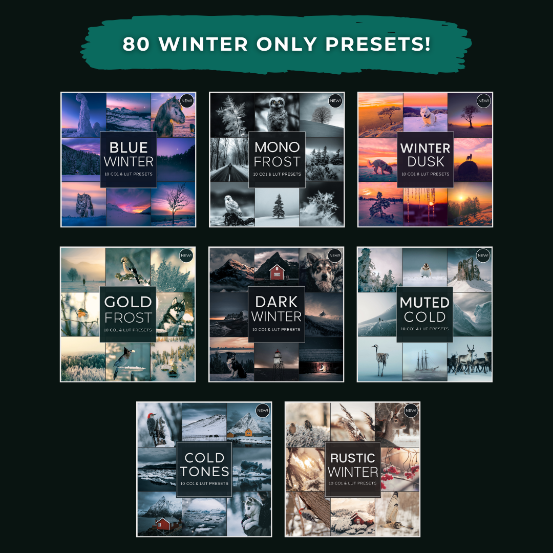 Master Collection Capture One & LUT Presets Bundle Winter