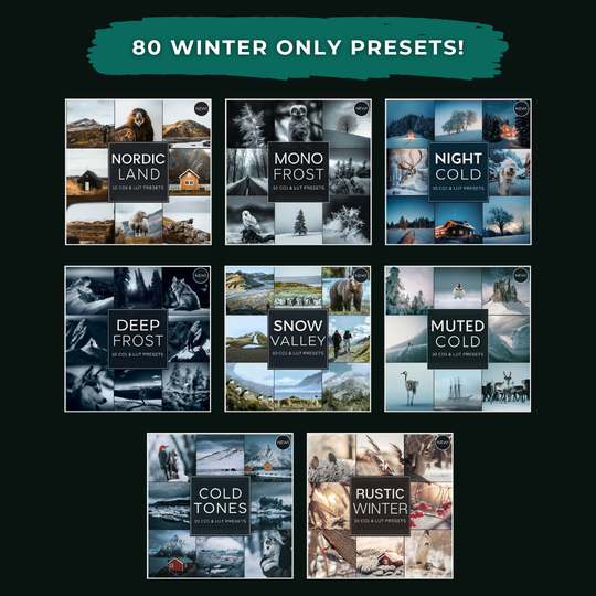 Master Collection Capture One & LUT Presets Bundle Winter