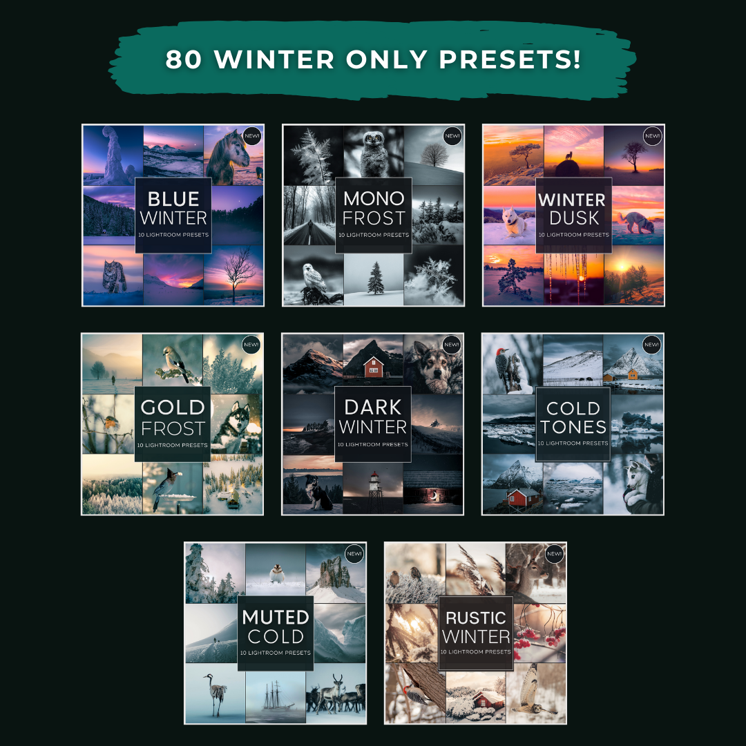 Master Collection Bundle 330 Lightroom-Presets