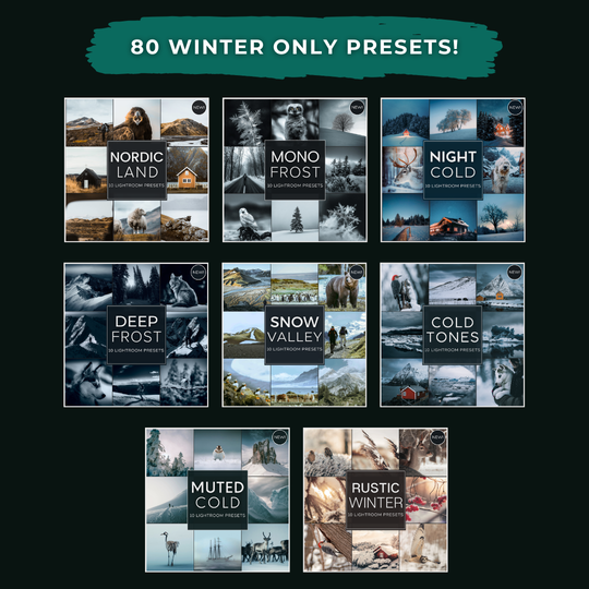 Winter Bundle LIMITED 80 Lightroom Presets + 75 Bonus AI Winter Presets