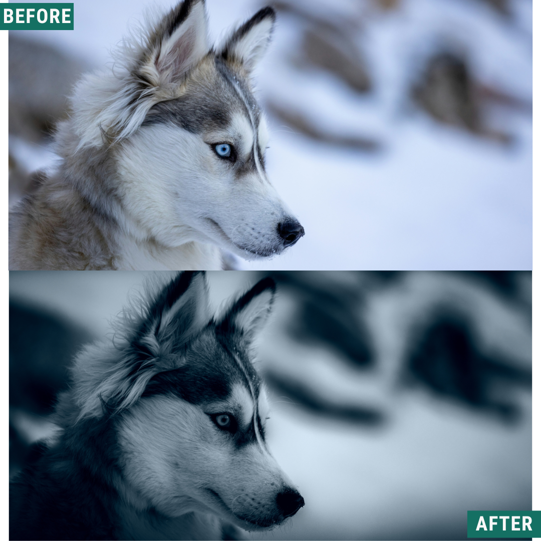 Deep Frost LIMITED Lightroom Presets Pack