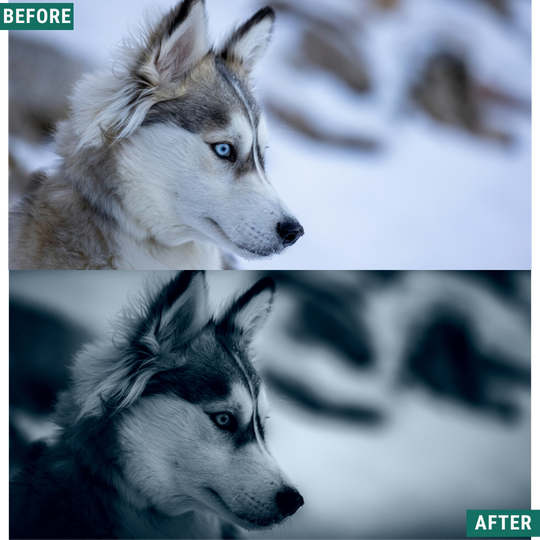 Deep Frost LIMITED Lightroom Presets Pack