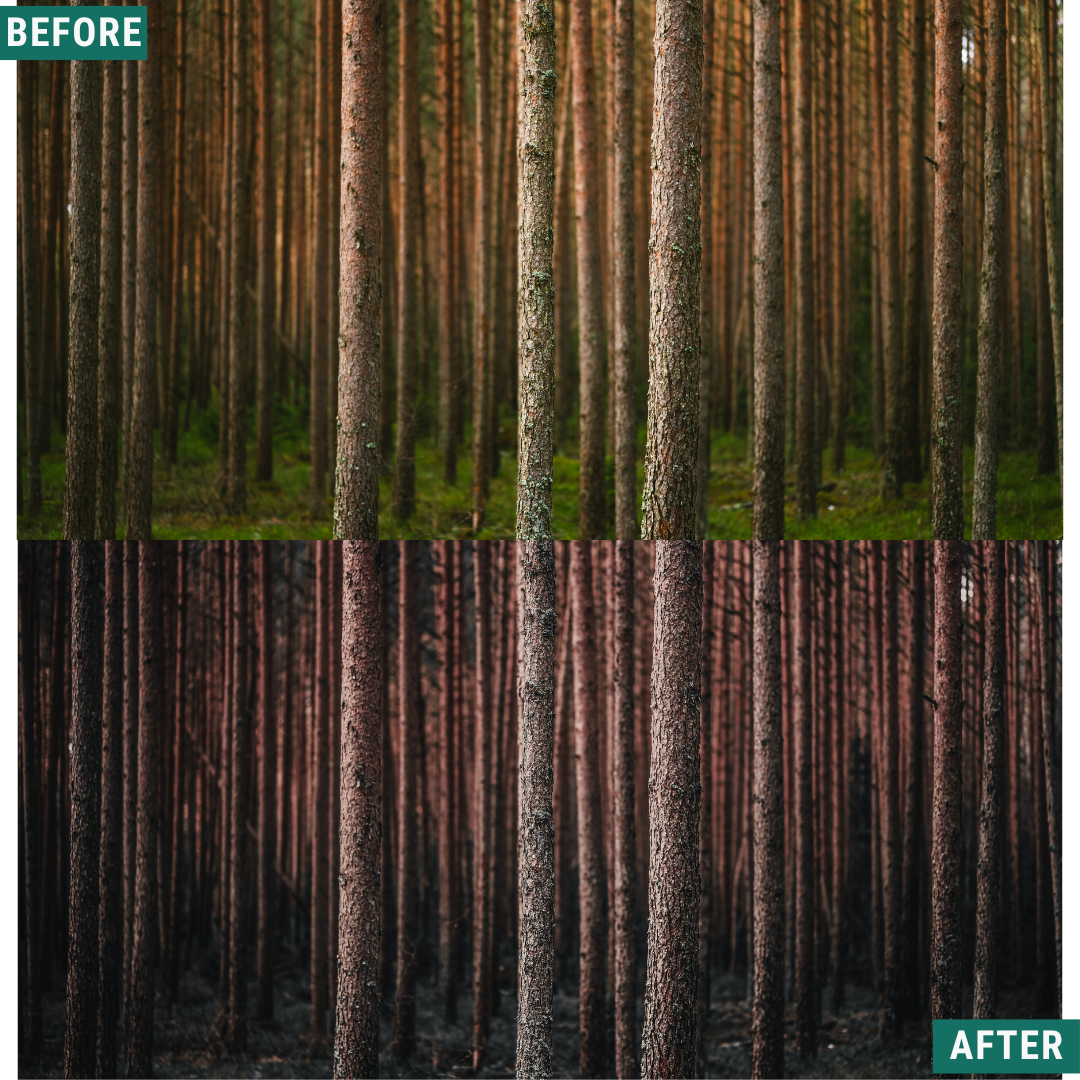 Muted Brown LIMITED Lightroom Presets Pack