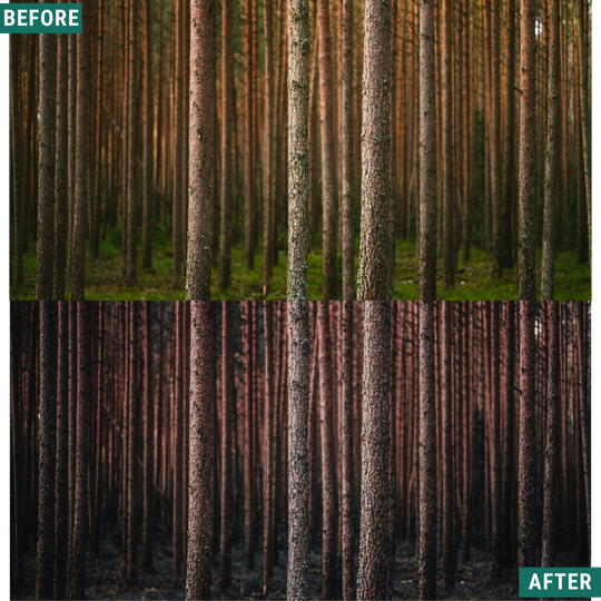 Muted Brown LIMITED Lightroom Presets Pack