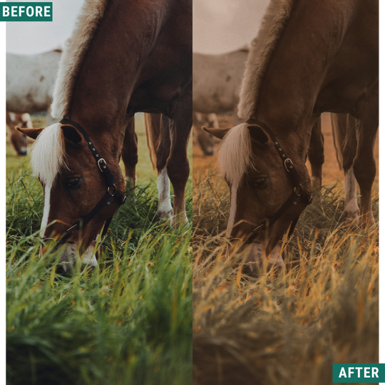 Gold Fields Lightroom Presets Pack