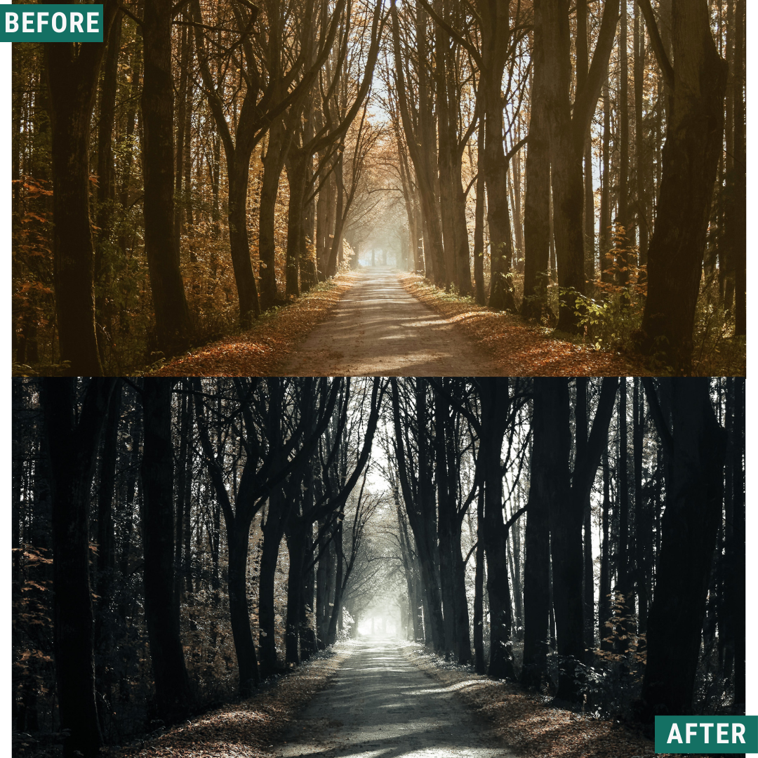 Mono Land LIMITED Lightroom Presets Pack