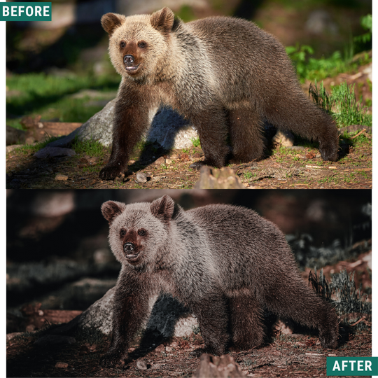 Muted Brown LIMITED Lightroom Presets Pack