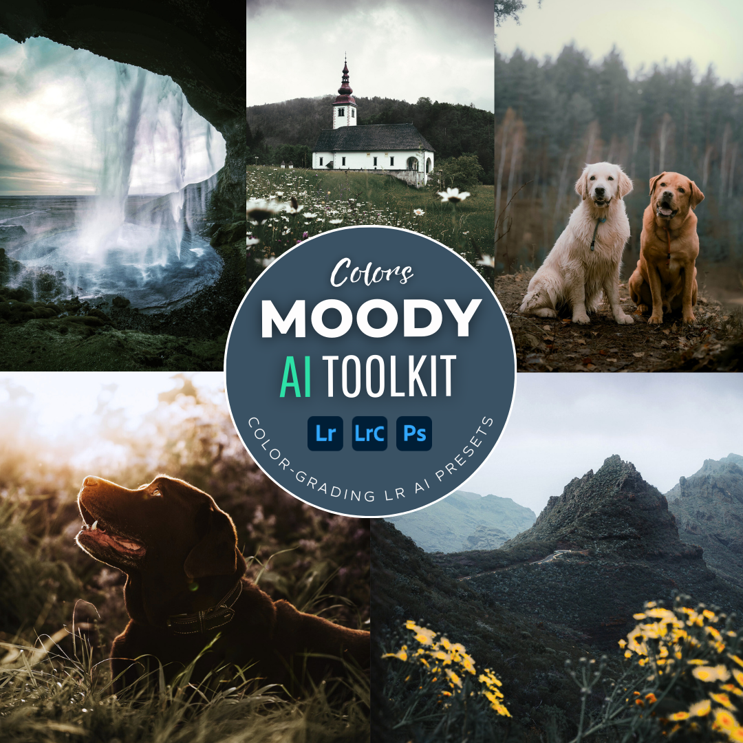 Moody AI Color Lightroom Toolkit