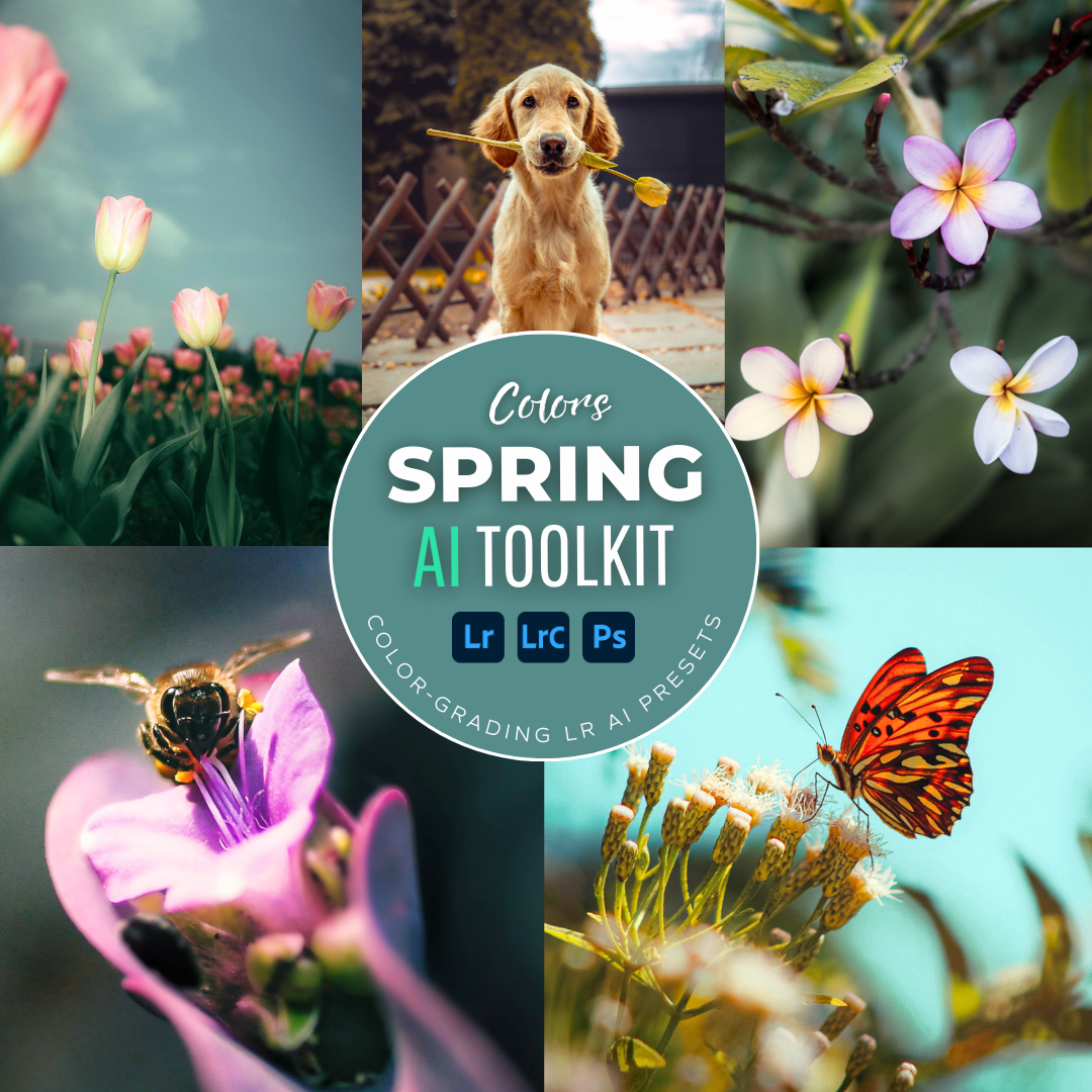 Spring AI Color Lightroom Toolkit
