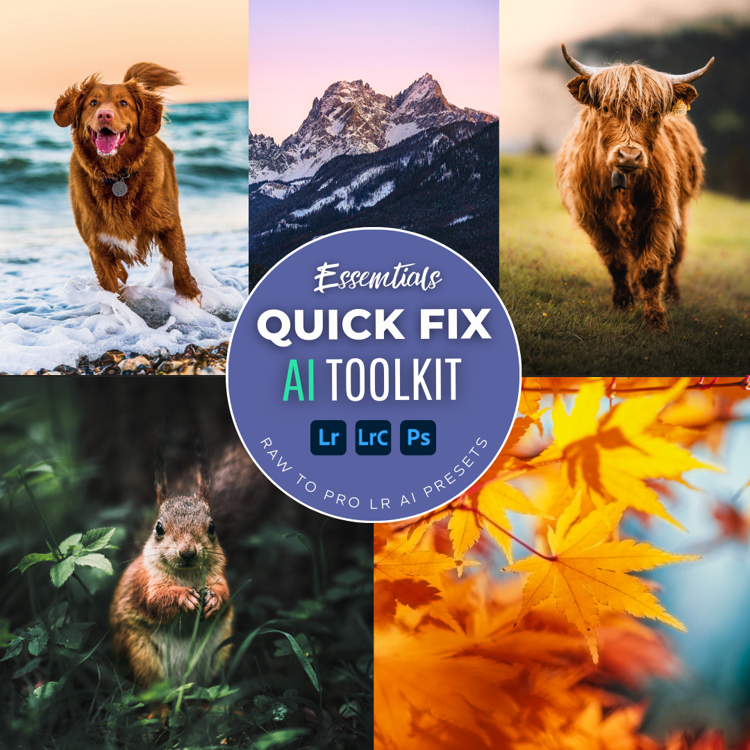 Quick Fix AI Lightroom Toolkit