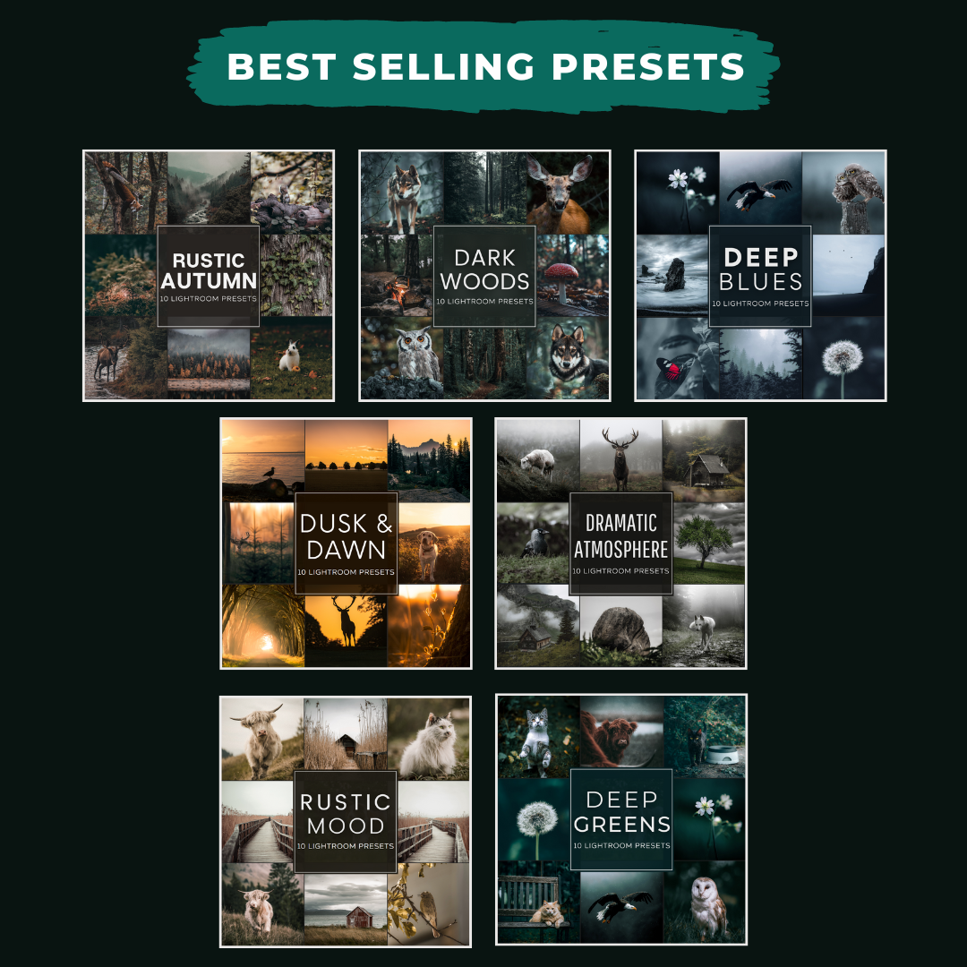 Master Collection Bundle 490 Lightroom Presets Summer