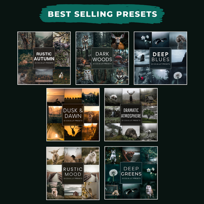 Woodland Bundle 130 Bestseller Capture One & LUT Presets Herbst