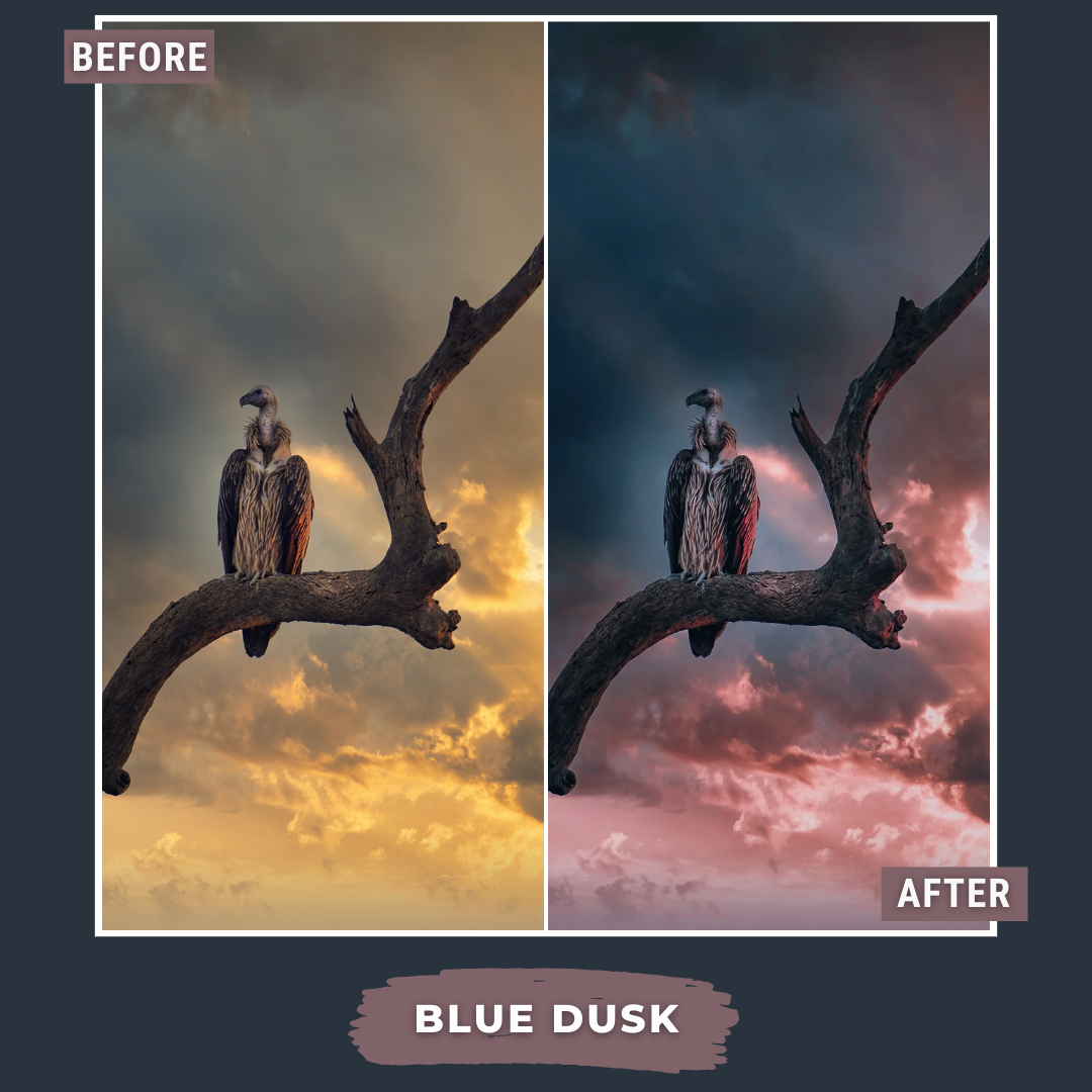 Master Collection Bundle 490 Lightroom Presets Summer
