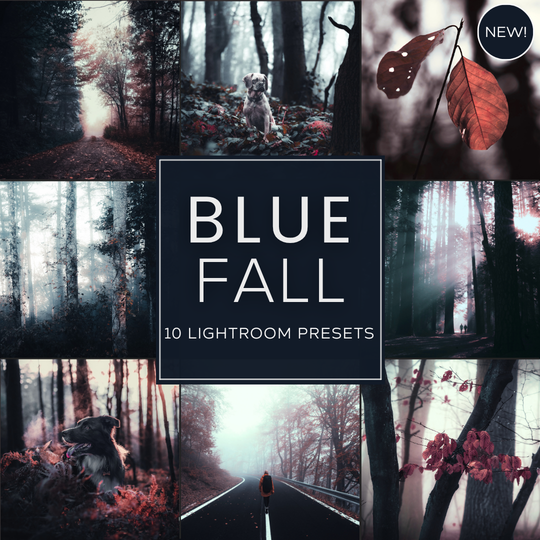 Blue Fall LIMITED Lightroom Presets Pack