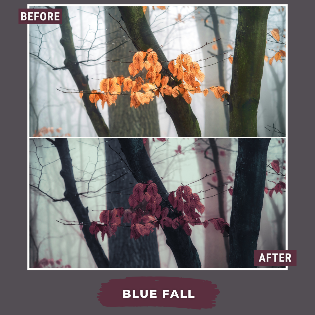 Master Collection Bundle 540 Lightroom Presets Autumn