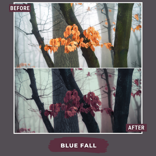 Master Collection Bundle 540 Lightroom Presets Autumn