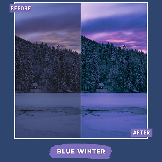 Winter Value Bundle 80 Capture One & LUT Presets