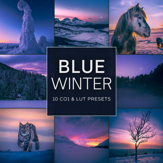 Blue Winter LIMITED Capture One & LUT Presets Pack