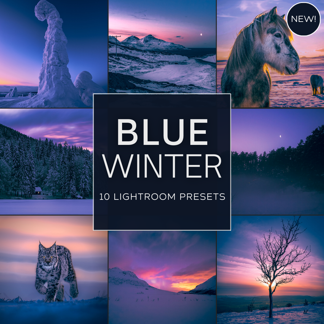 Blue Winter LIMITIERTES Lightroom-Presets-Paket