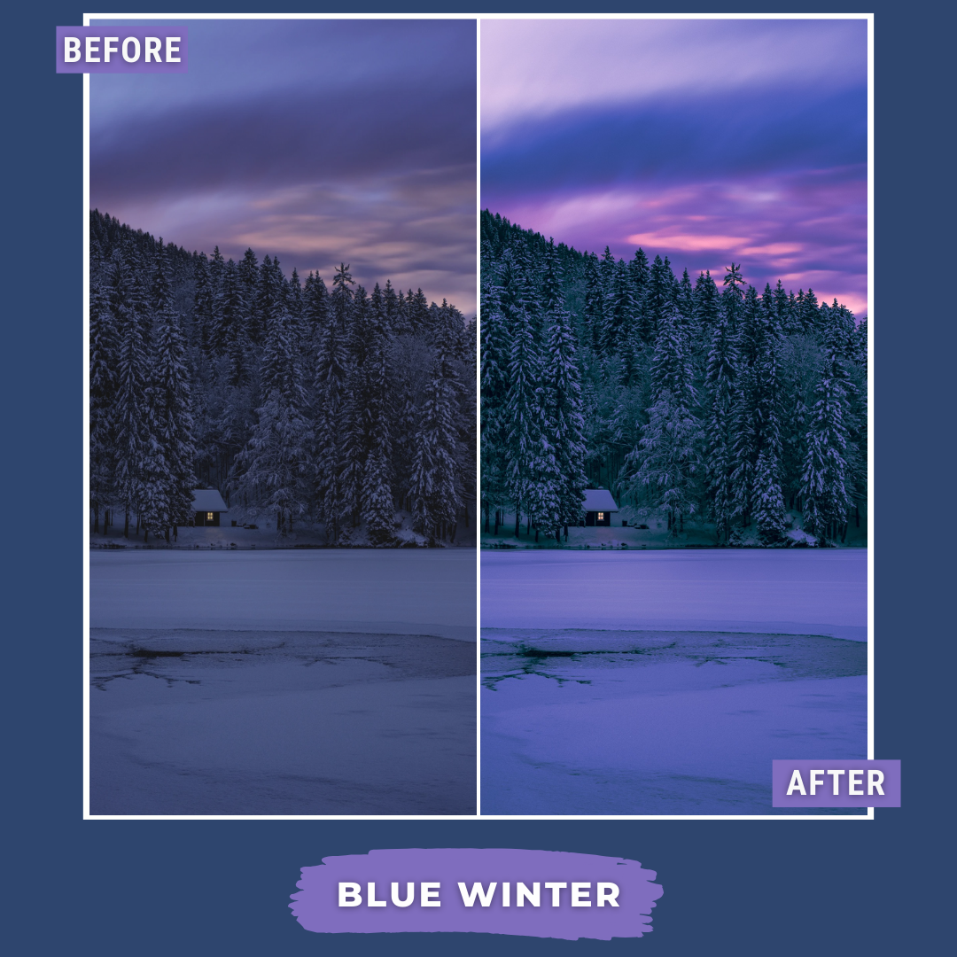 Master Collection Capture One & LUT Presets Bundle Winter