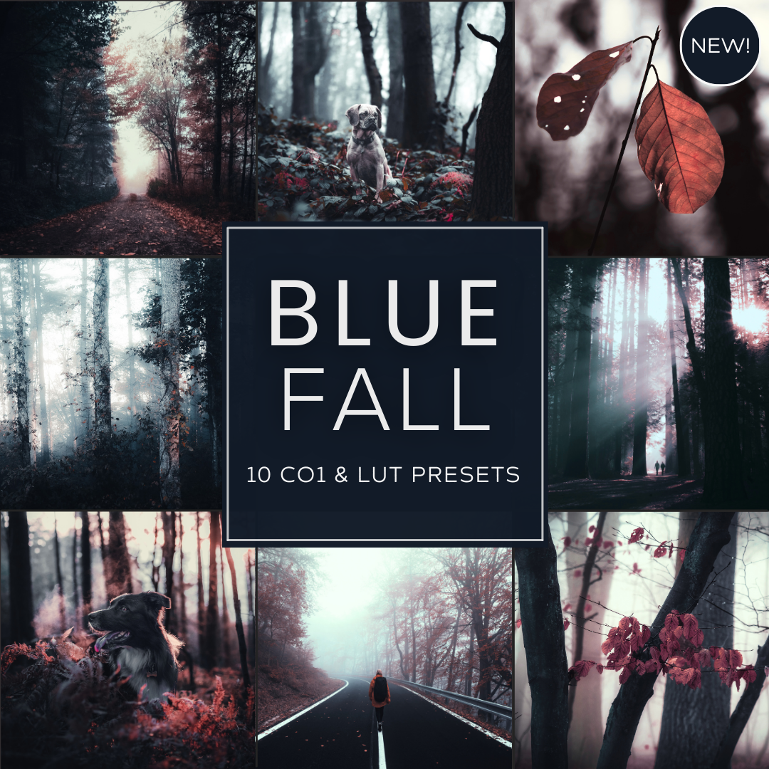 Blue Fall LIMITED Capture One & LUT Presets Pack