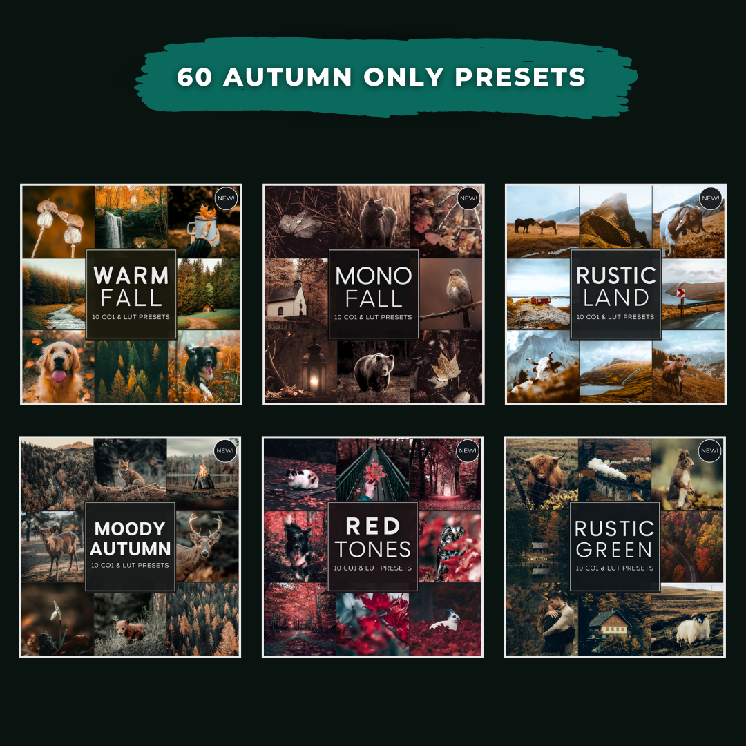 Autumn Valule Bundle 60 Capture One & LUT Presets