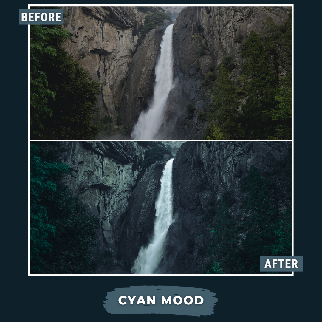 Master Collection Bundle 490 Lightroom Presets Summer