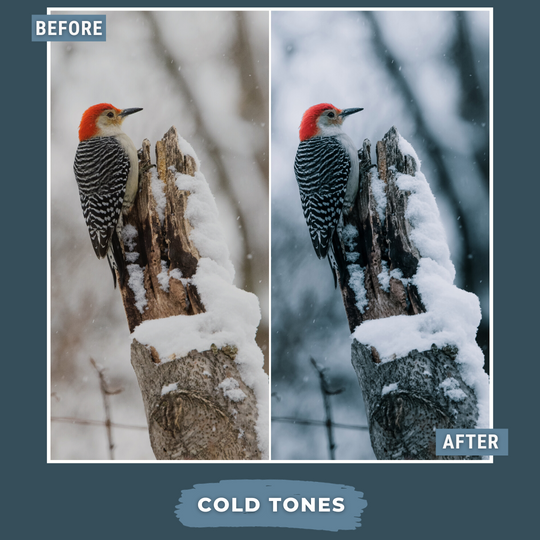 Winter Value Bundle 80 Capture One & LUT Presets