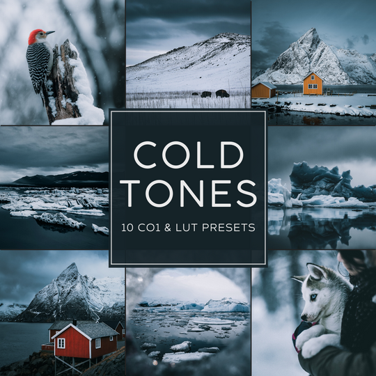 Cold Tones LIMITED Capture One & LUT Presets Pack